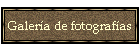 Galera de fotografas